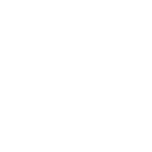 Software Solutions White Icon